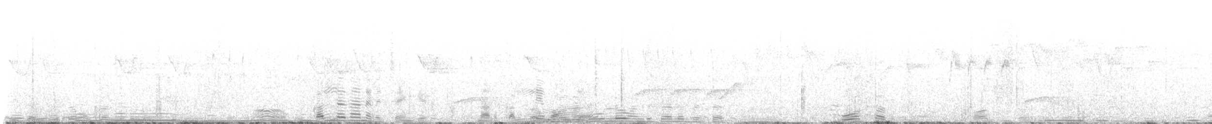 strdimil sp. - ML646739342