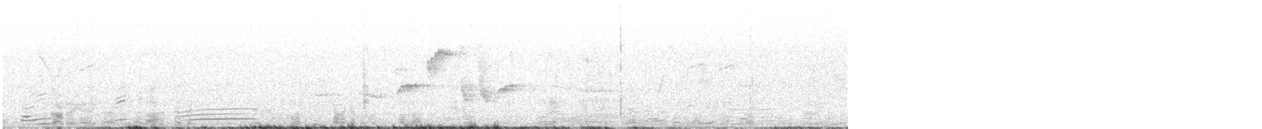 strdimil sp. - ML646739348