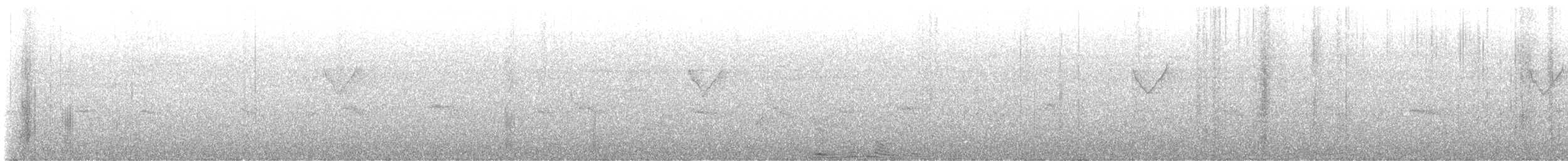 budníček pruhohlavý - ML646739525