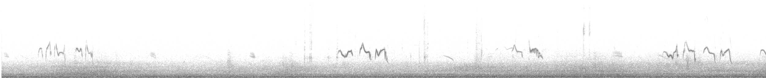 Cappellaccia - ML646739595