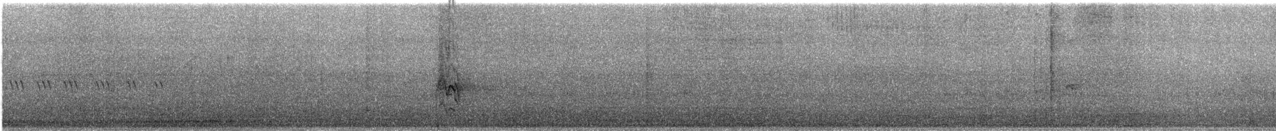 Brahmakauz - ML646739620