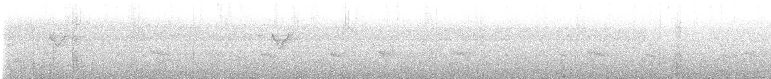 budníček pruhohlavý - ML646739647