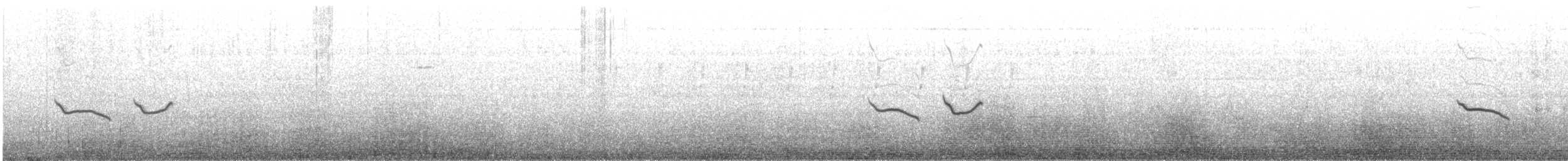 Cappellaccia - ML646739705