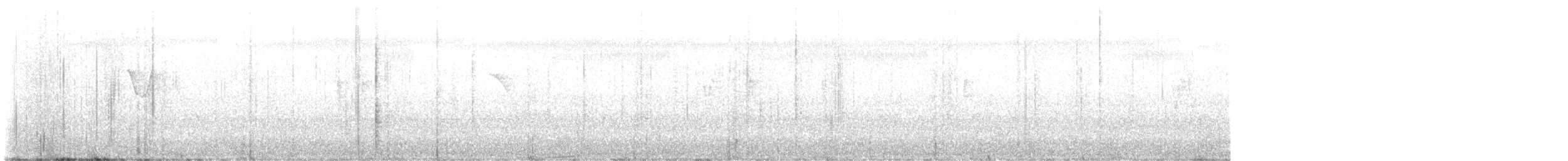 budníček pruhohlavý - ML646739730