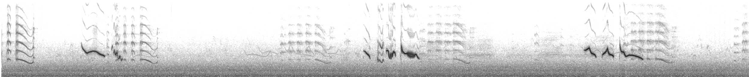 Cappellaccia - ML646739746