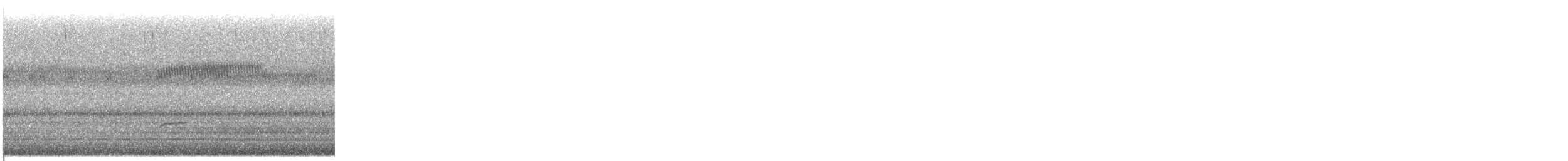 Swainson's Thrush - ML646739851