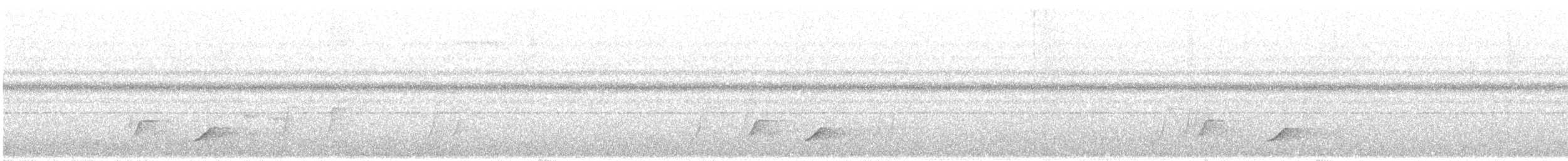 Türkisfeenvogel - ML646740154