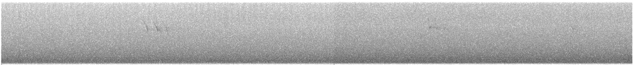 Gebirgsstelze - ML646740160