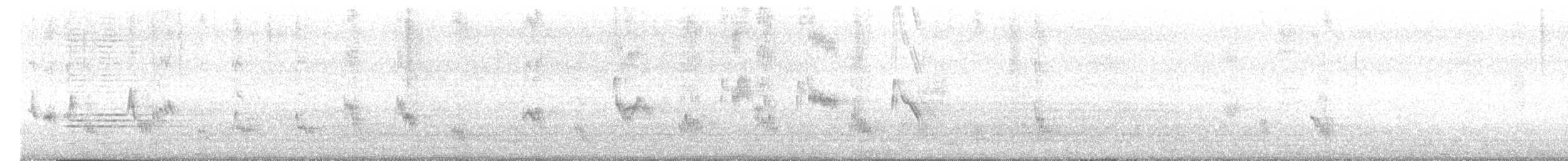 Long-tailed Mockingbird - ML646740472