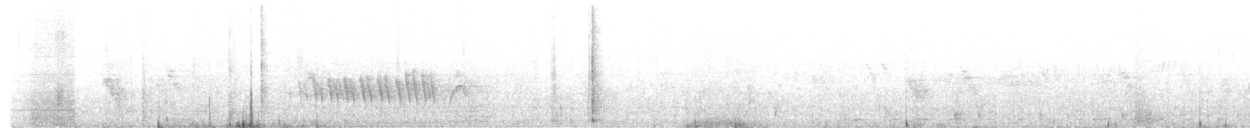 Double-collared Seedeater - ML646741022