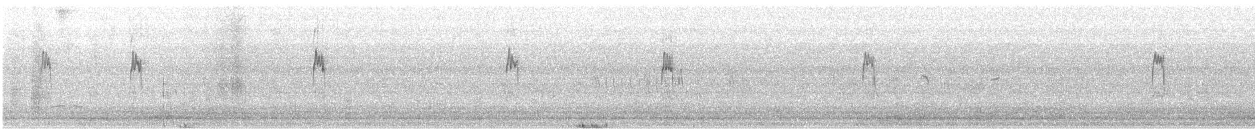 Water Pipit (Caucasian) - ML646742033