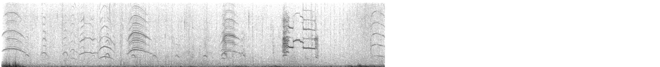 Gaviota de Bonaparte - ML646742408