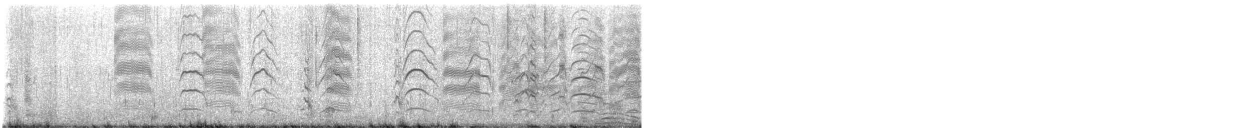 Gaviota de Bonaparte - ML646742409