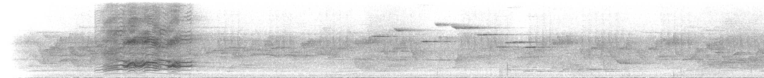 Spotted Catbird - ML646742412