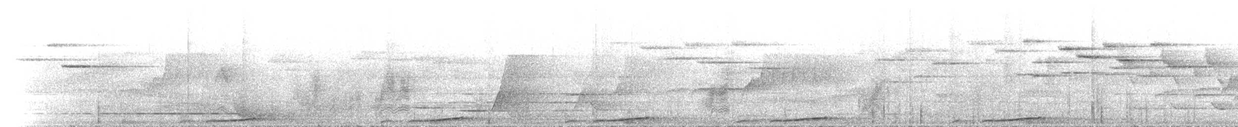 Phasianelle brune - ML646742436