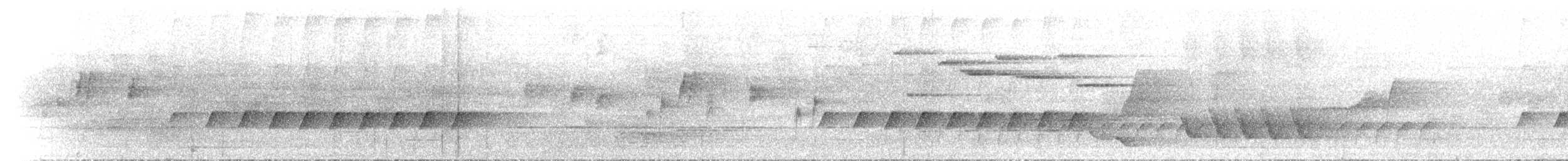 Monarque sanglé - ML646742451