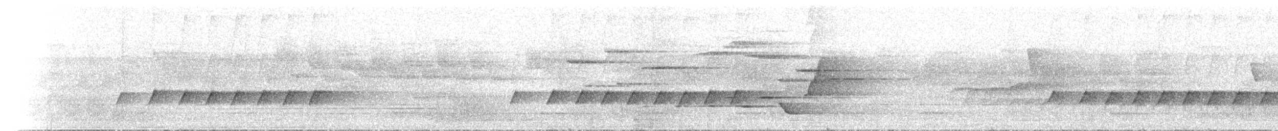 Pied Monarch - ML646742454