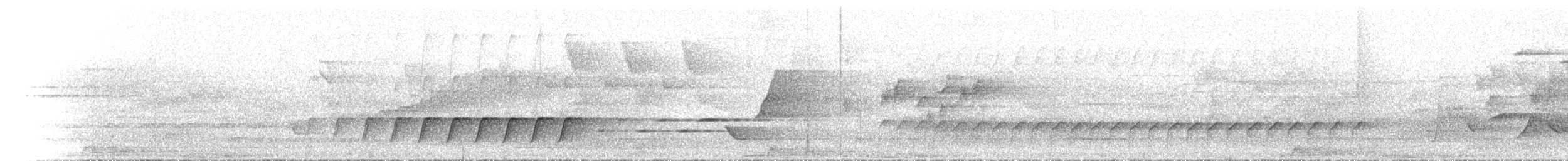 Monarque sanglé - ML646742455