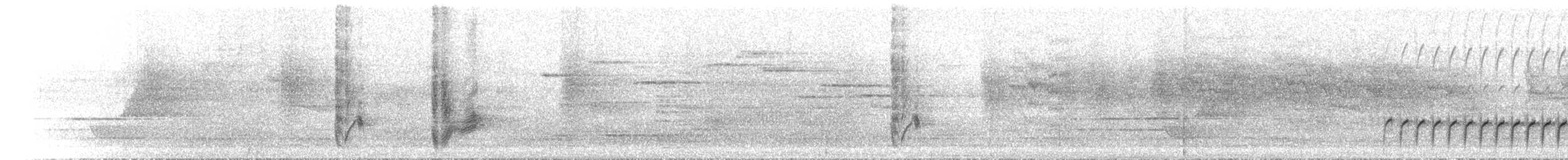 Pied Monarch - ML646742457