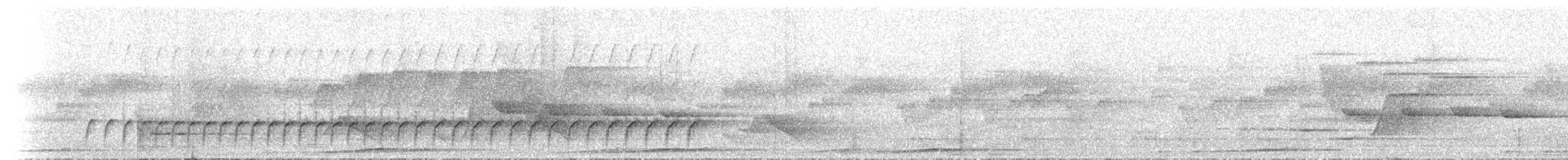 Монарх-голоок квінслендський - ML646742458