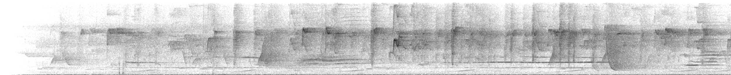 Double-eyed Fig-Parrot - ML646742510