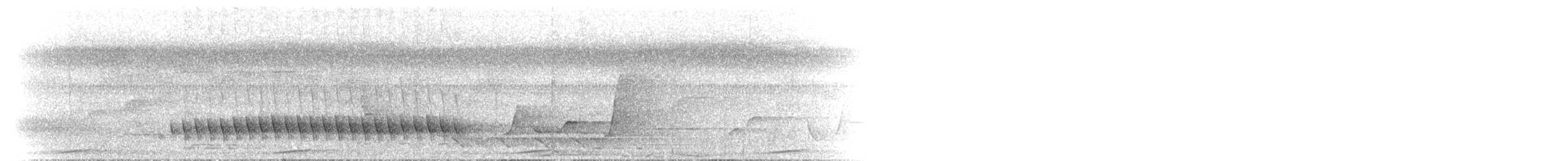 Lewin's Honeyeater - ML646742529