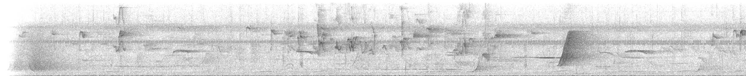 Double-eyed Fig-Parrot - ML646742543