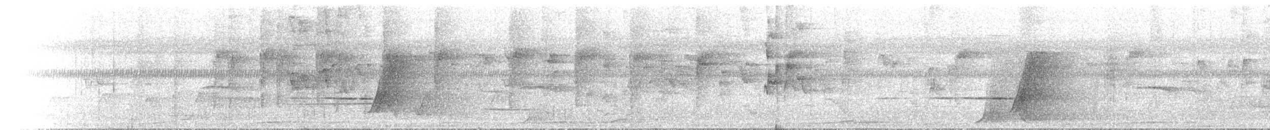 Double-eyed Fig-Parrot - ML646742544