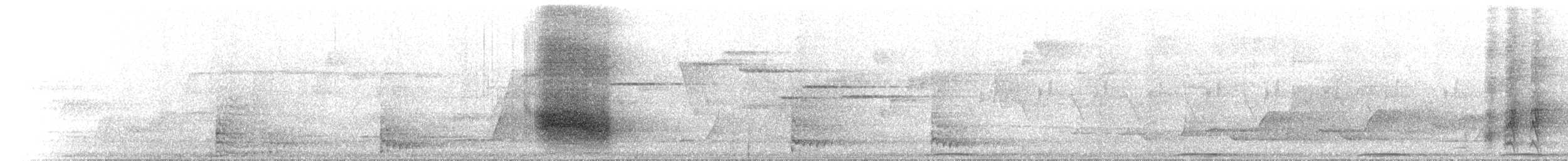 Victoria's Riflebird - ML646742575