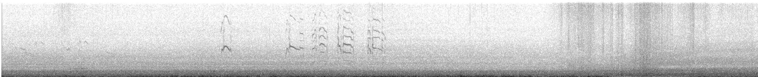 Крячок карибський - ML646742951