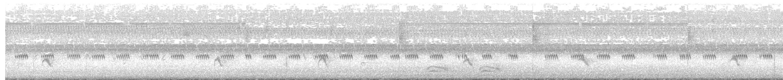 Gray-cheeked Thrush - ML646742979