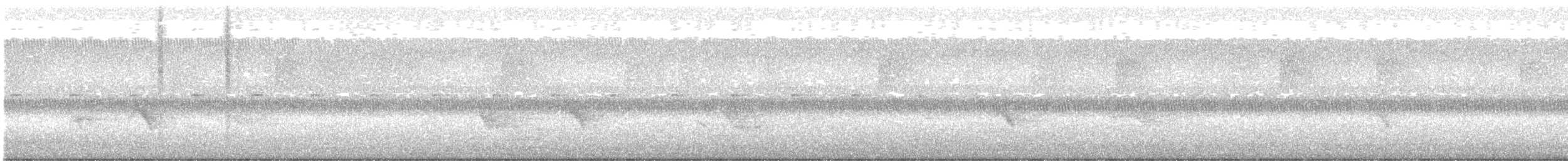 Gray-cheeked Thrush - ML646742983