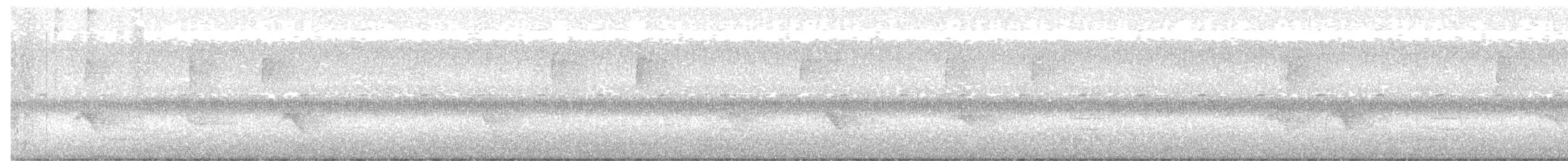 Gray-cheeked Thrush - ML646742997