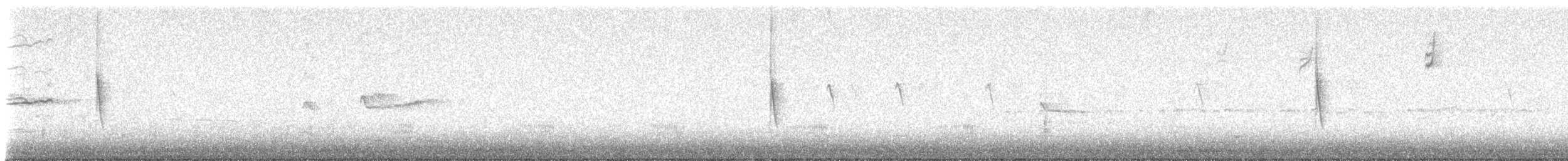 Northern/Mangrove Yellow Warbler - ML646743155