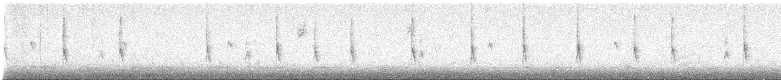 Northern/Mangrove Yellow Warbler - ML646743156