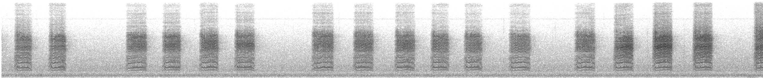 Sinaloa Wren - ML646743203