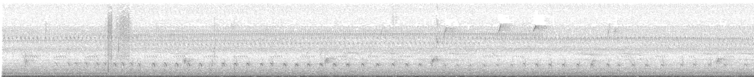 Pileated Woodpecker - ML646743275