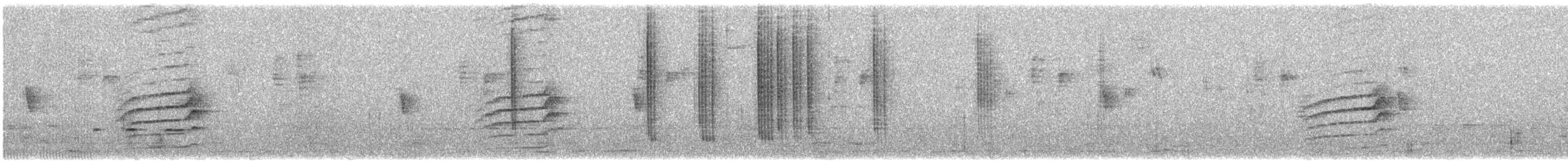 Slaty-backed Nightingale-Thrush (Cordilleran) - ML646743315