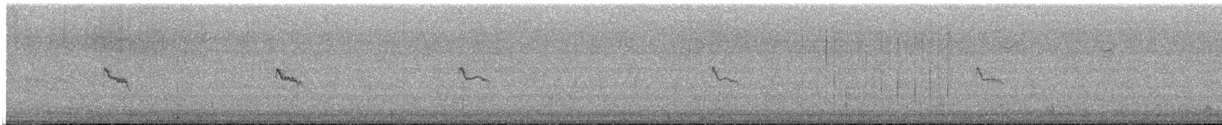 クロツキヒメハエトリ - ML646743331