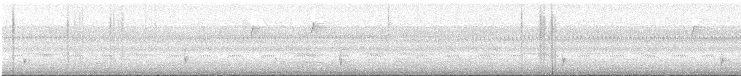 Swainson's Thrush - ML646743351