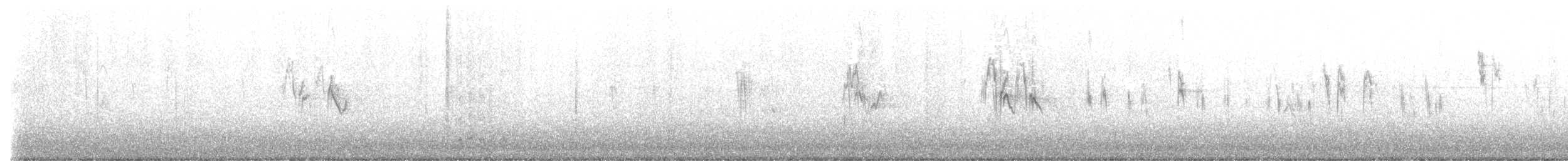 Bergeronnette grise - ML646743376