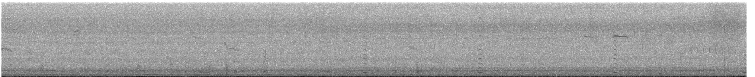 American Coot - ML646743420