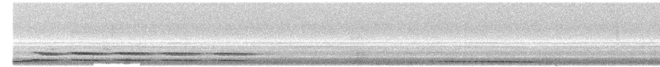 Santa Marta Screech-Owl - ML646744054