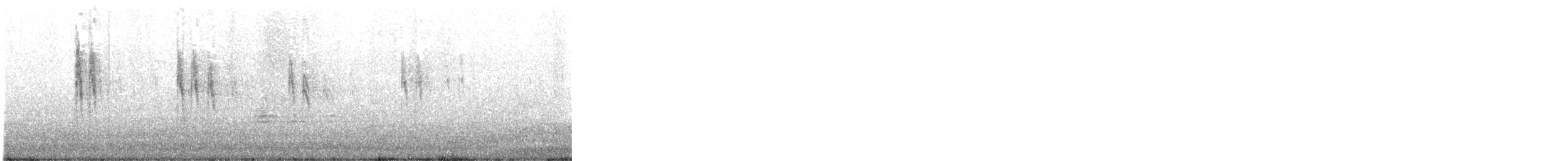 Bergeronnette grise - ML646744140