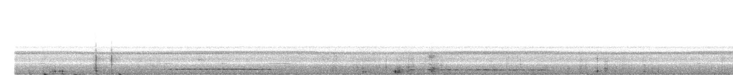 Santa Marta Screech-Owl - ML646744167