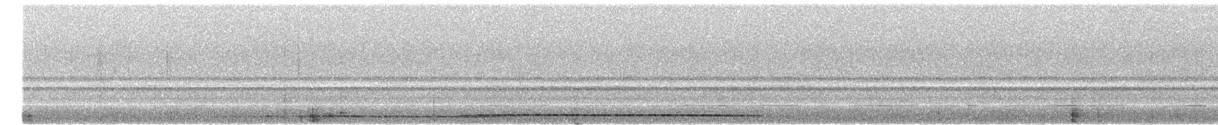 Santa Marta Screech-Owl - ML646744380