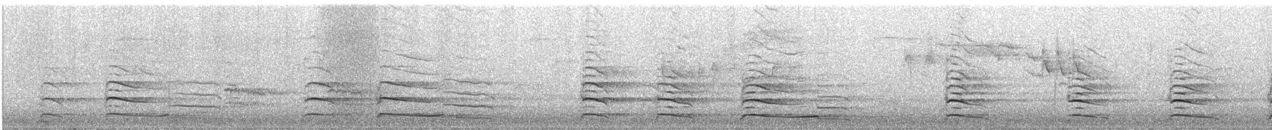 Kaio hauskara europarra - ML646744573