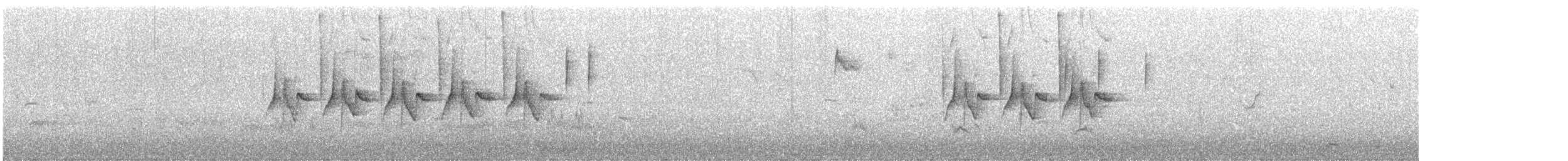 svartmeis - ML646744662