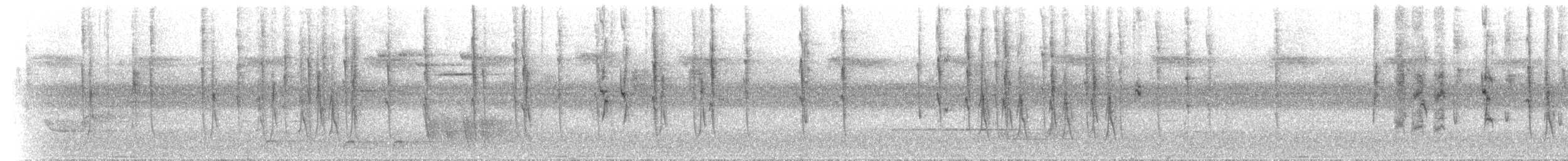 Kalın Gagalı Serikornis - ML646744717