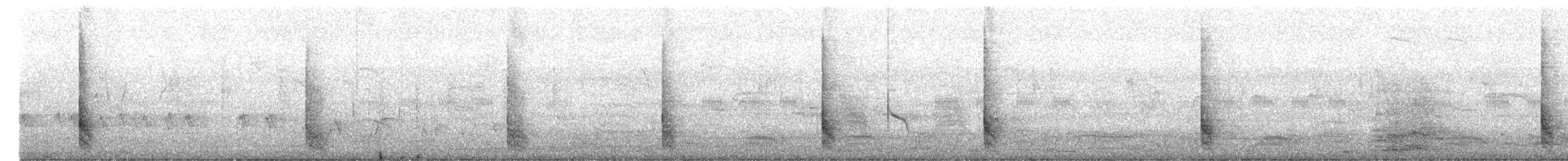 mandelík indický - ML646744944